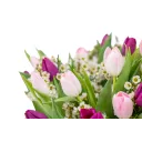 Bouquet of tulips purple